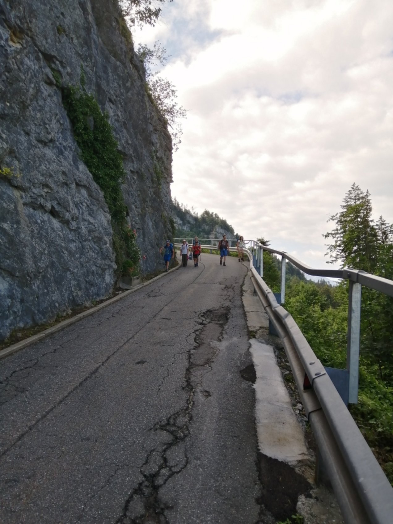 IMG_20250627_091241_resized_20250629_053834317