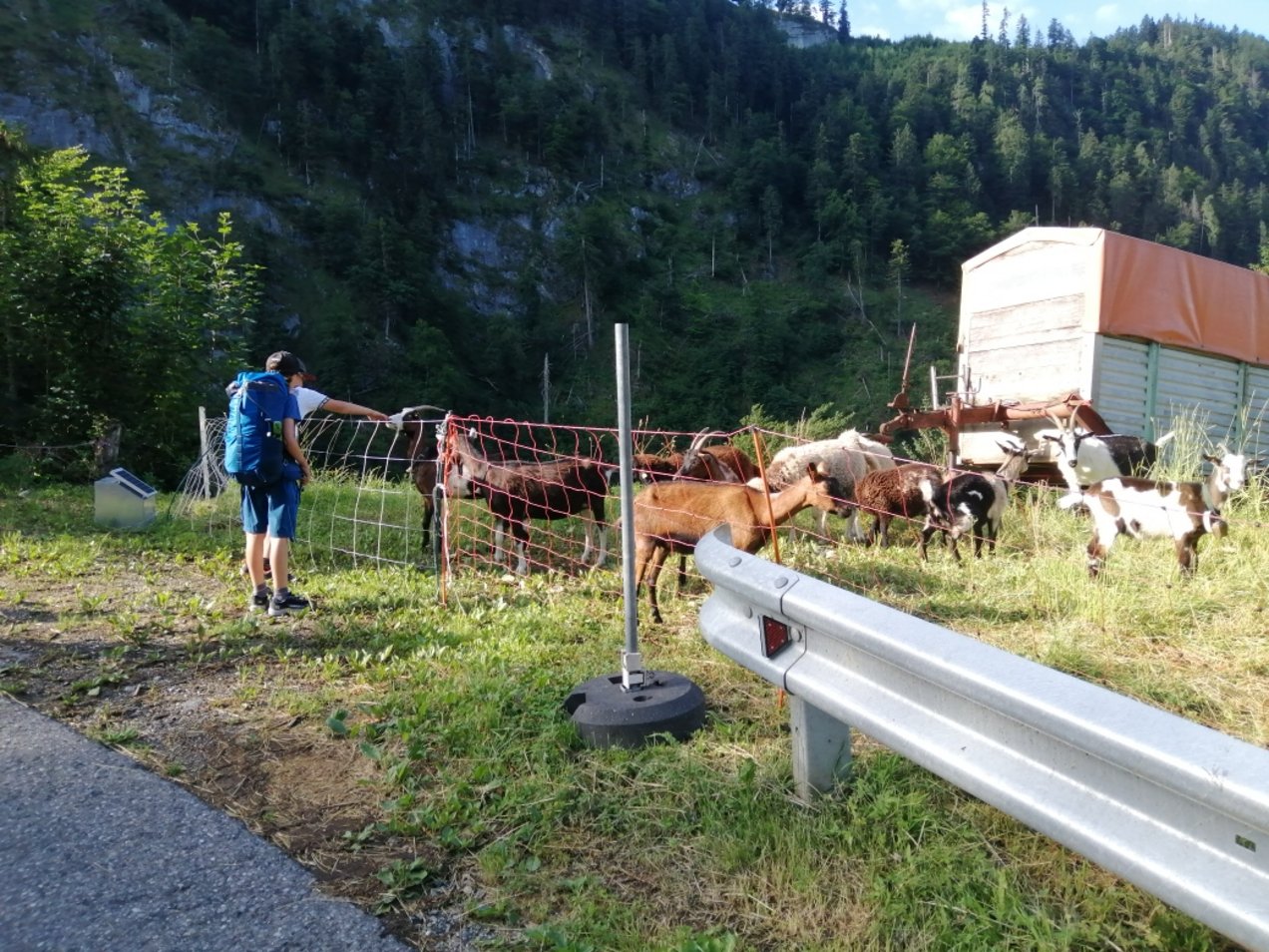 IMG_20250627_083312_resized_20250629_053950080