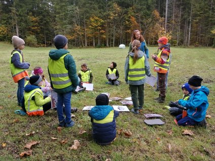 IMG_20251014_103519_resized_20251020_041023929