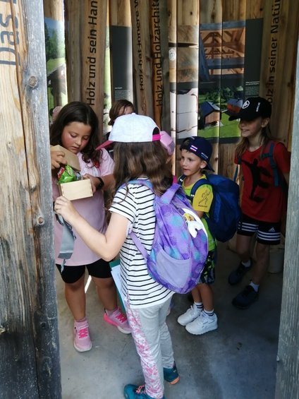 IMG_20250701_091459_resized_20250701_091630475