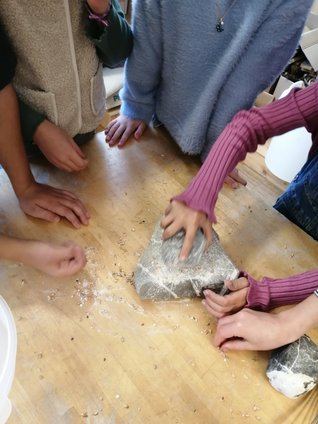 IMG_20251118_111150_resized_20251118_074936828